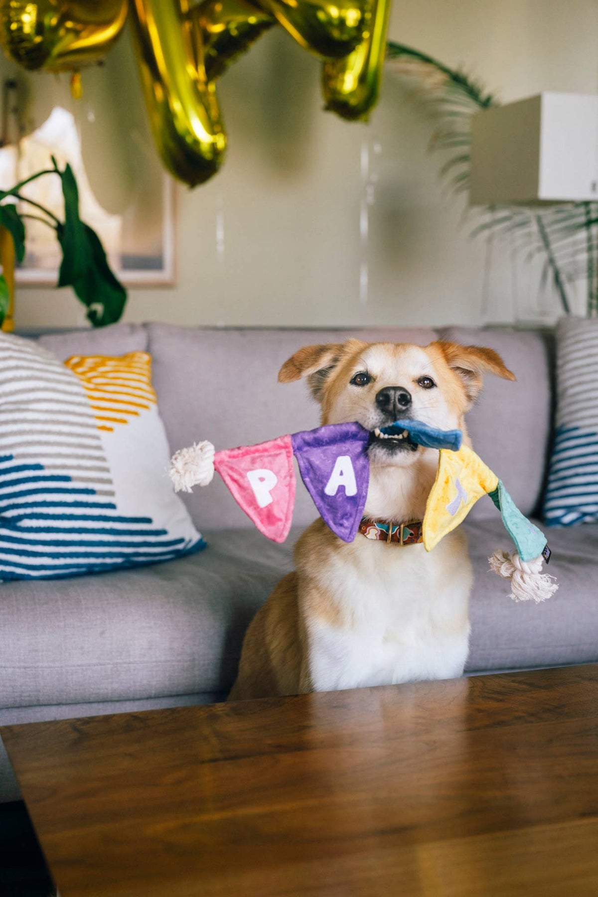 Party Animal - Tug n’ Party Banner