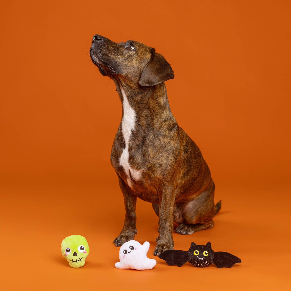 BOO YAH 3PCS DOG TOY SET