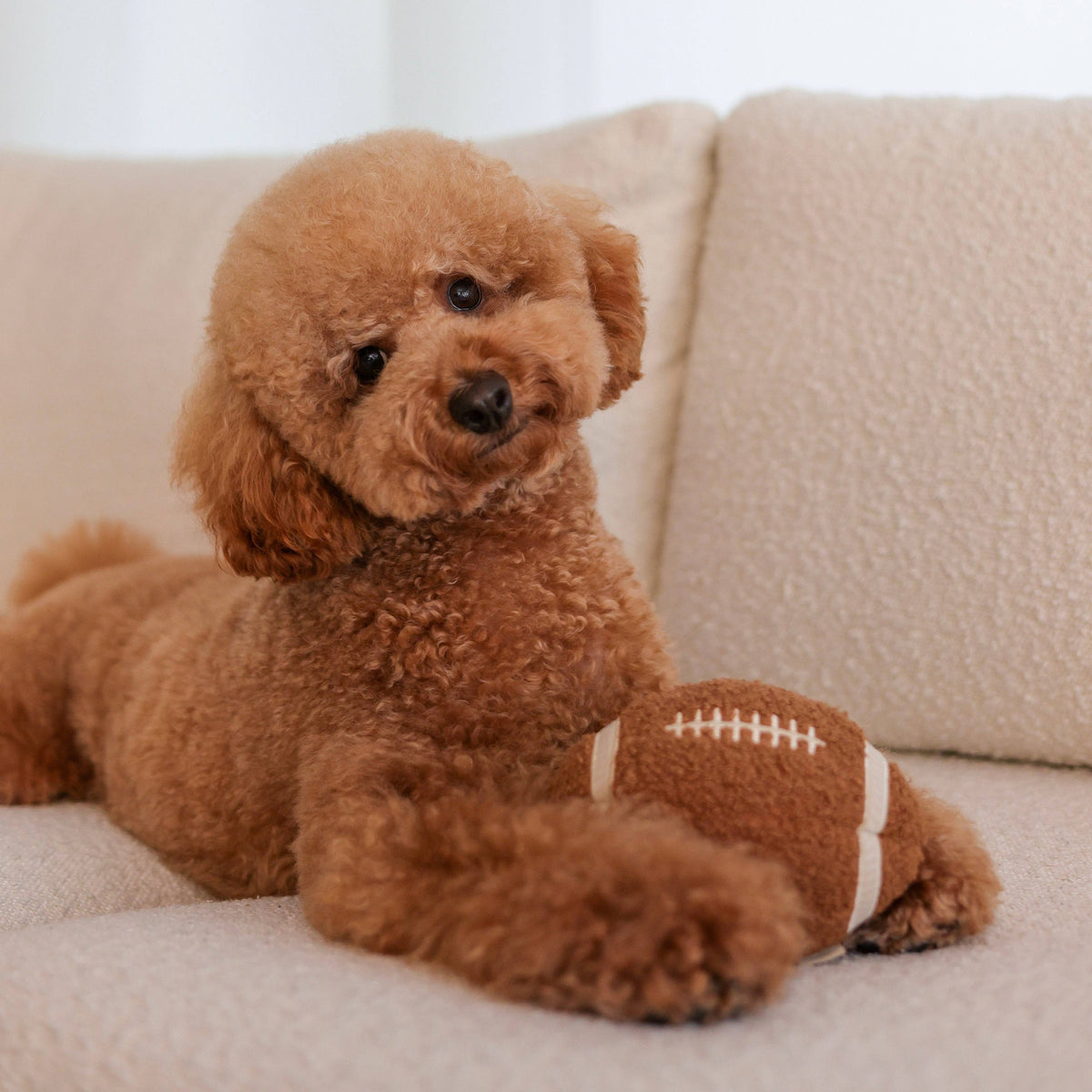 FOOTBALL // ENRICHMENT TOY SET// SNUFFLE + BURROW
