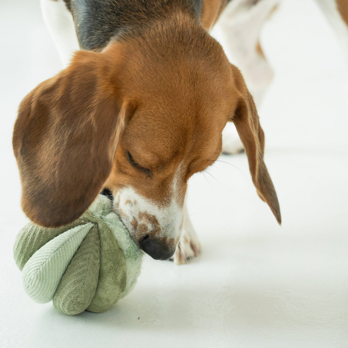 TOTO // ENRICHMENT DOG TOY // Silent // Snuffle Smaller Ball