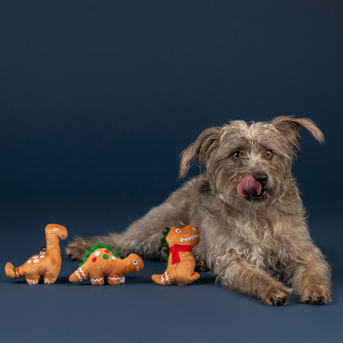 BAKING SPIRITS BRIGHT 3PC DOG TOY SET