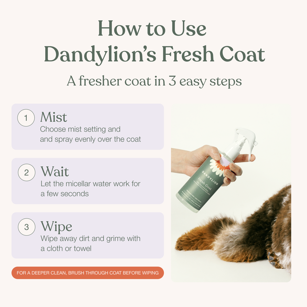 Fresh Coat Daily Cleansing Spray
