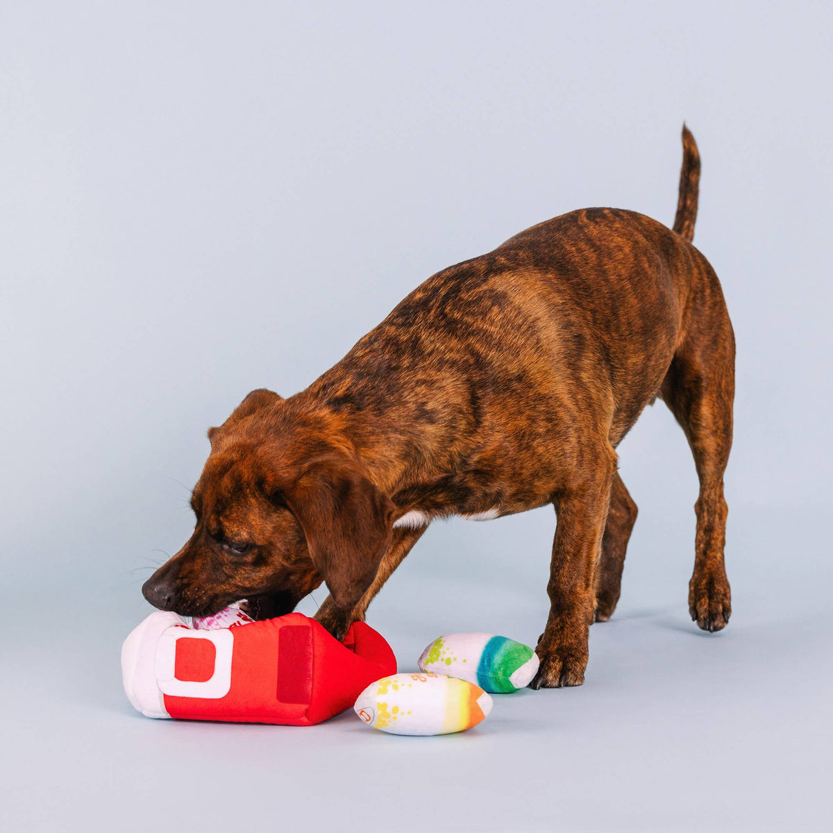 STAY COOL PUZZLE DOG TOY