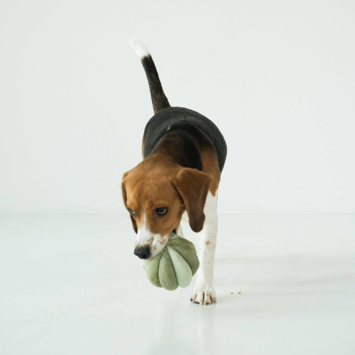 TOTO // ENRICHMENT DOG TOY // Silent // Snuffle Smaller Ball