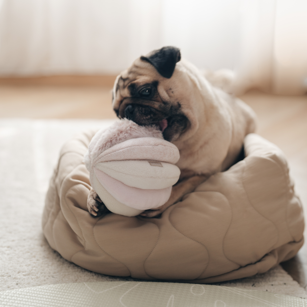 TOTO // ENRICHMENT DOG TOY // Snuffle Ball