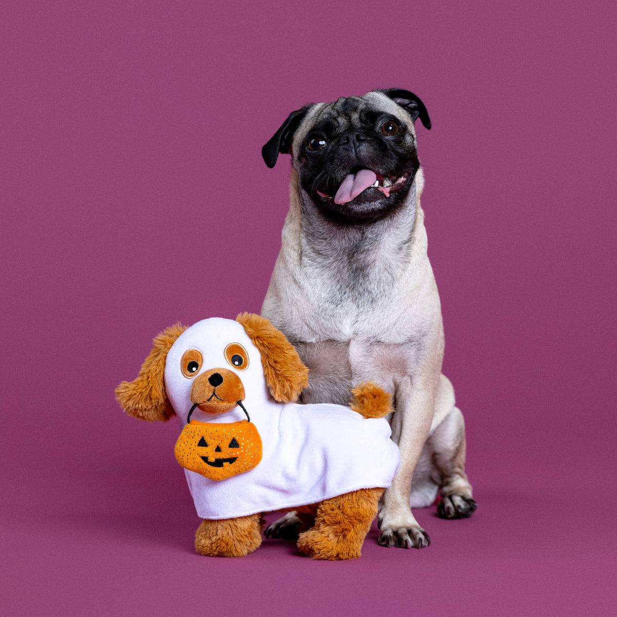 HAUNTIN' HOUND PLUSH DOG TOY
