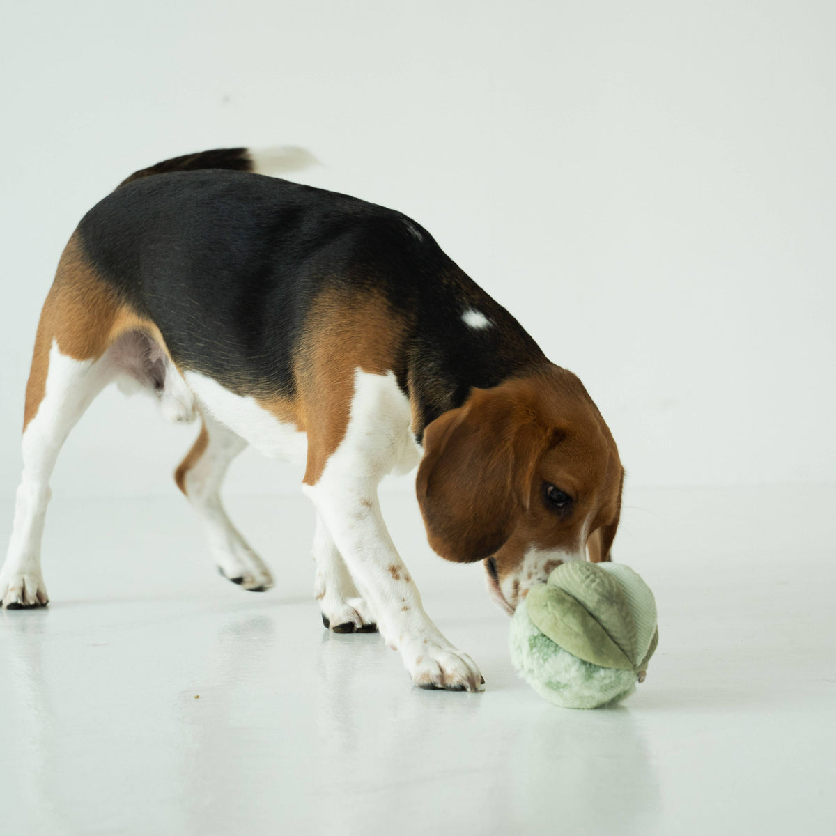 TOTO // ENRICHMENT DOG TOY // Silent // Snuffle Smaller Ball