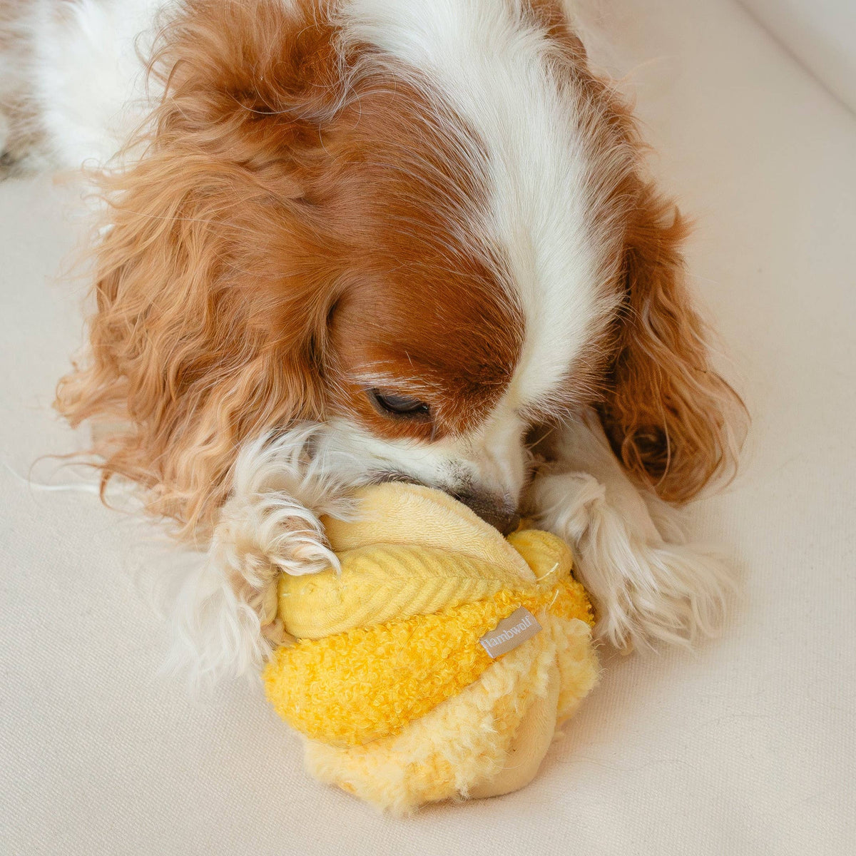 TOTO // ENRICHMENT DOG TOY // Silent // Snuffle Smaller Ball