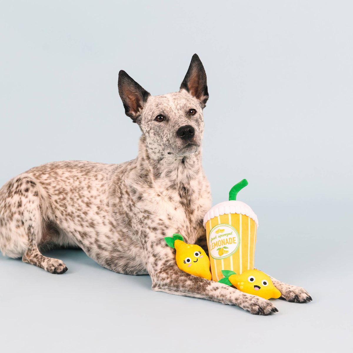 PUCKER UP 3PC DOG TOY SET