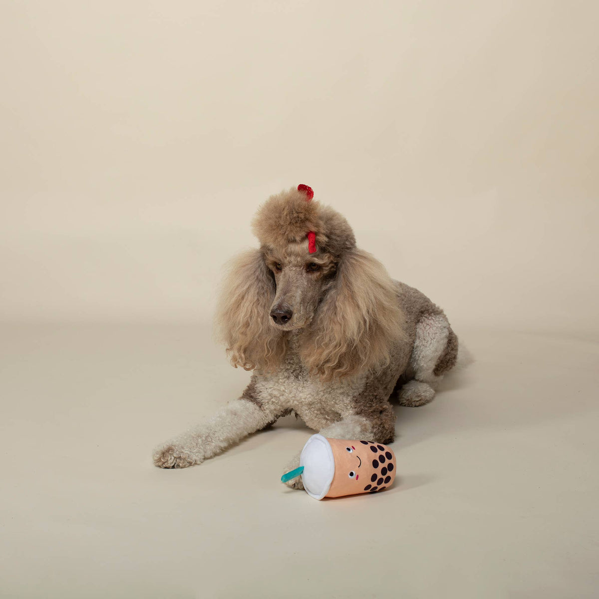 IT'S BOBA TIME PLUSH DOG TOY