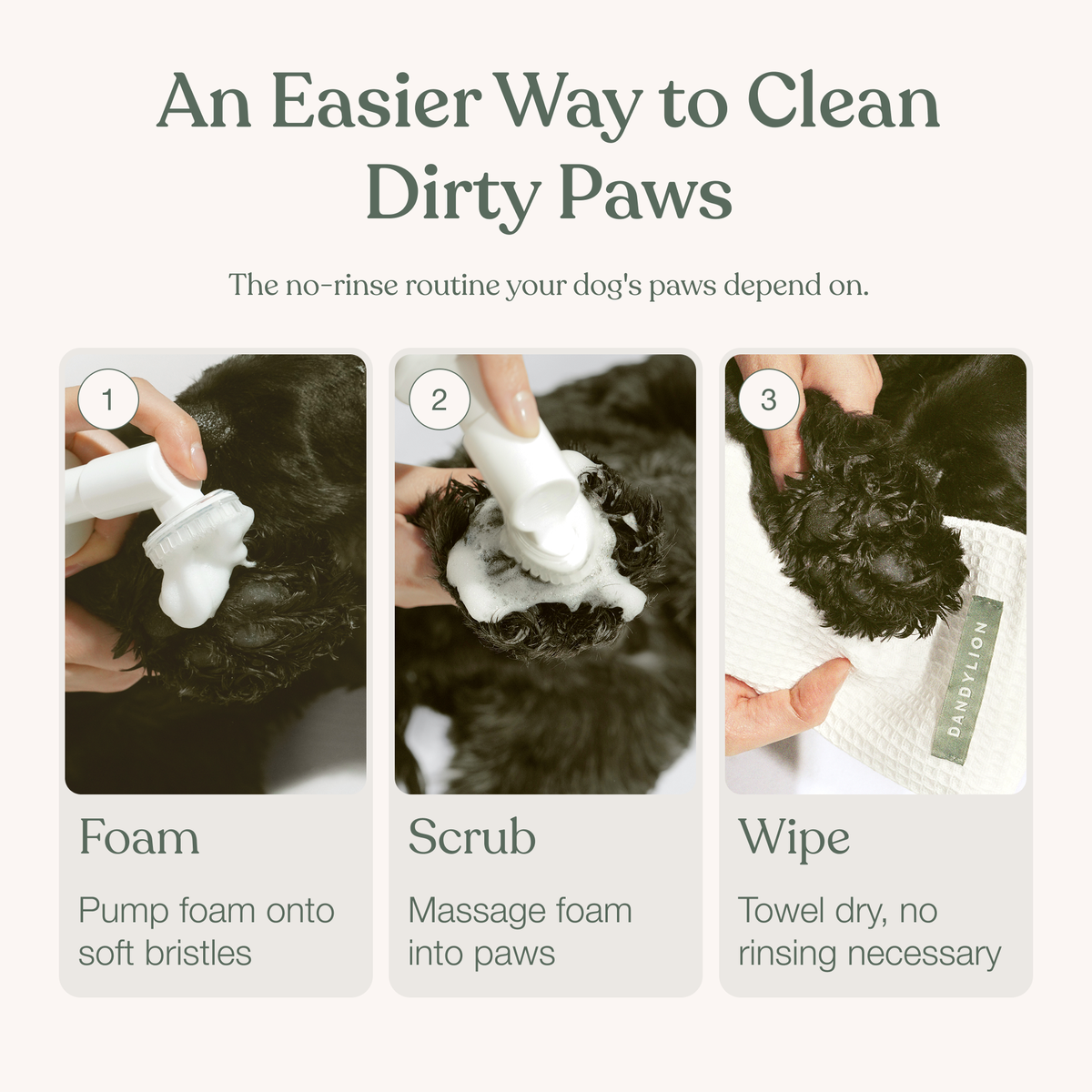 Clean Paws No-Rinse Foaming Cleanser