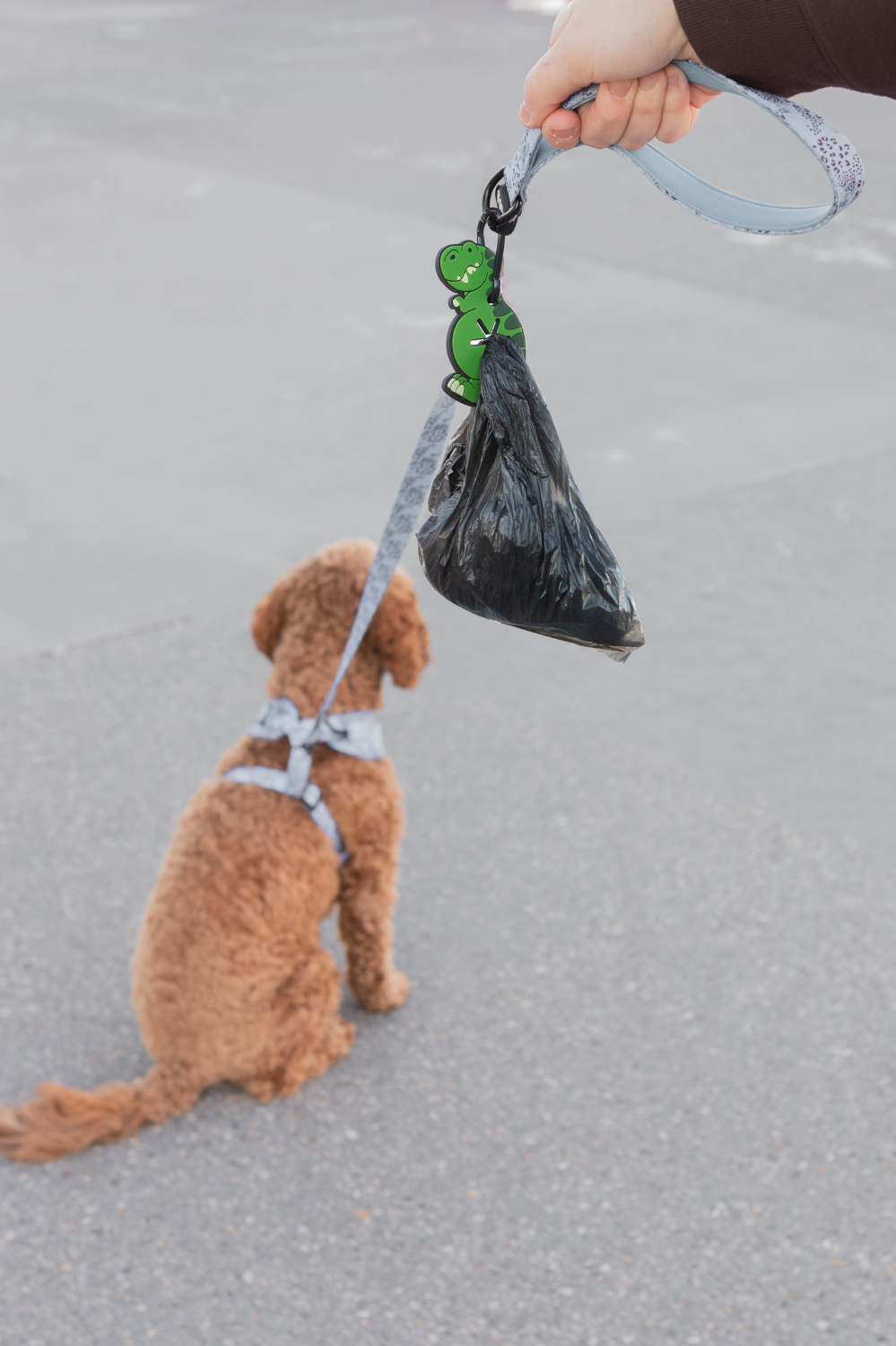 Dinosaur Poopy Loop® Used Dog Waste Bag Holder