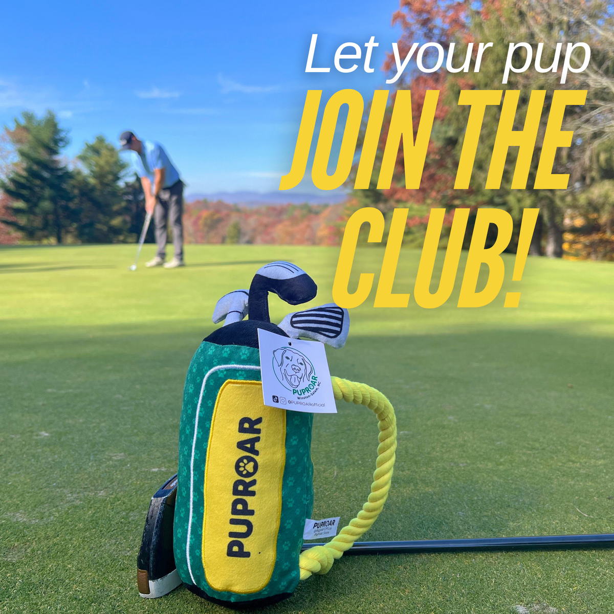 Golf Dog Toy- Squeaky and Crinkle Dog Toys- Pawfect Gift!