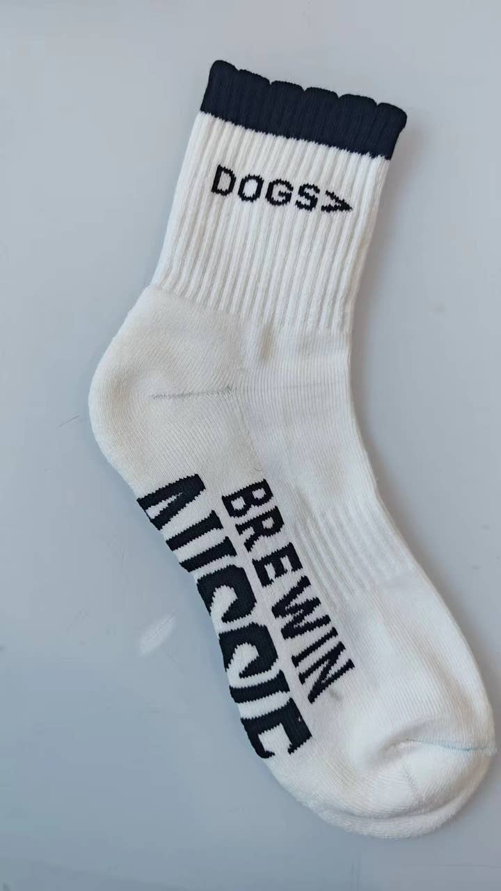 Dogs> Socks 