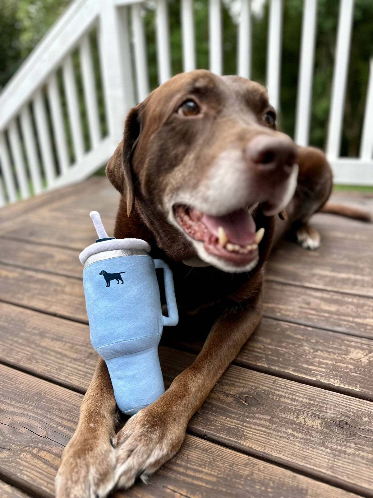 Pup Cup Tumbler Dog Toy- Plush & Squeaky Dog Toy Gifts