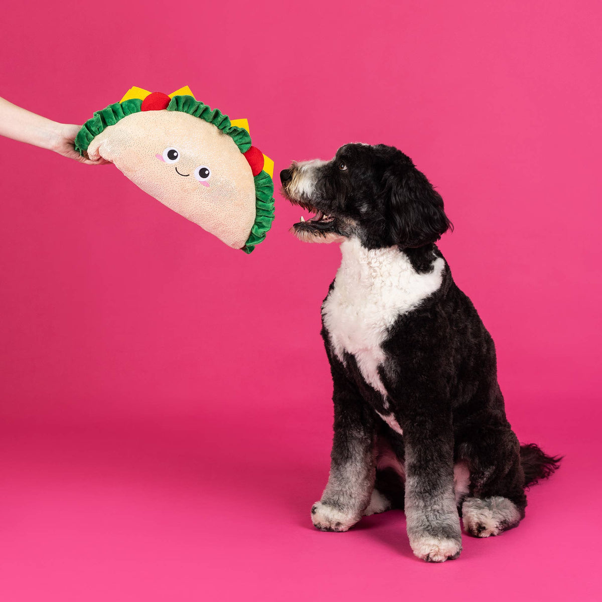 FANTAS TACO EXTRA LARGE PLUSH DOG TOY
