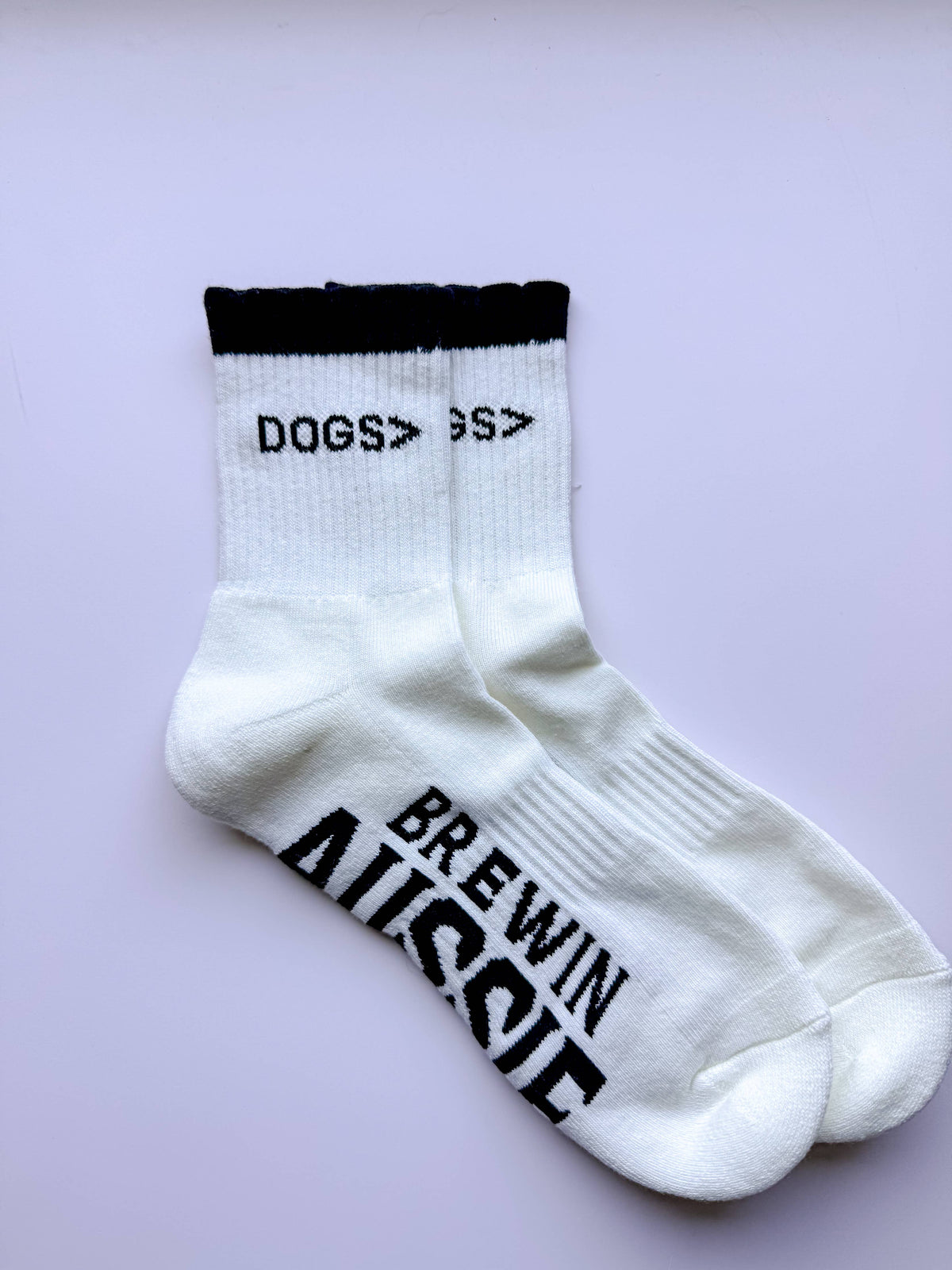 Dogs> Socks 