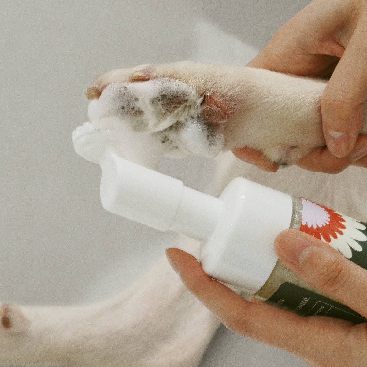 Refill - Clean Paws No-Rinse Foaming Cleanser