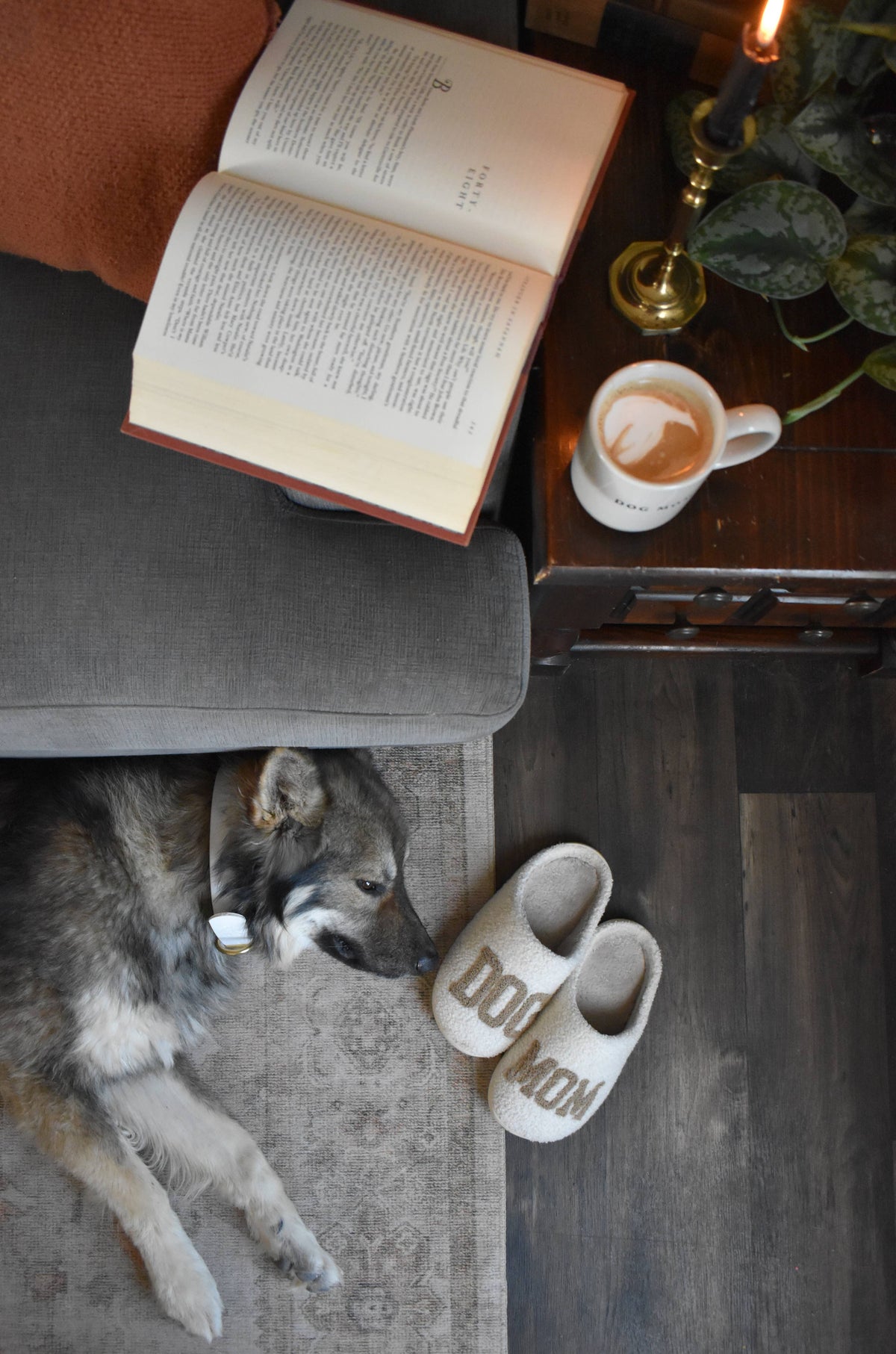 Dog Mom Slippers - TAUPE