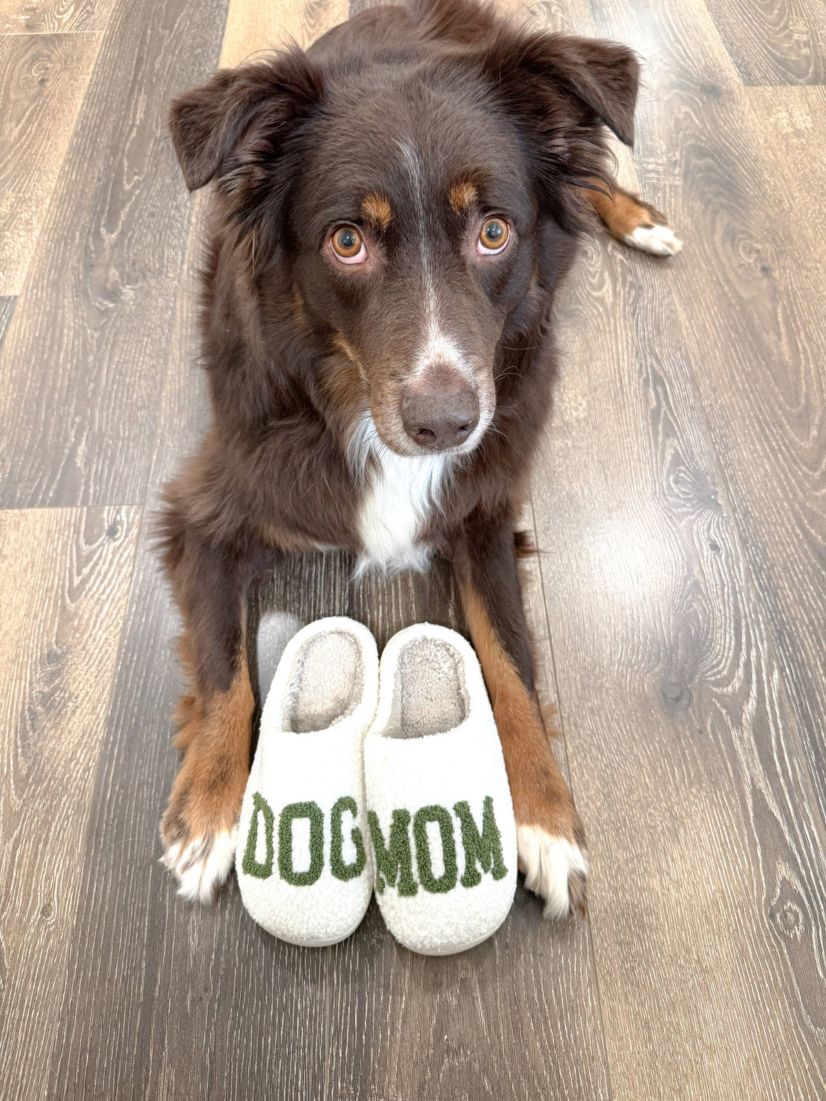 Dog Mom Slippers - Green