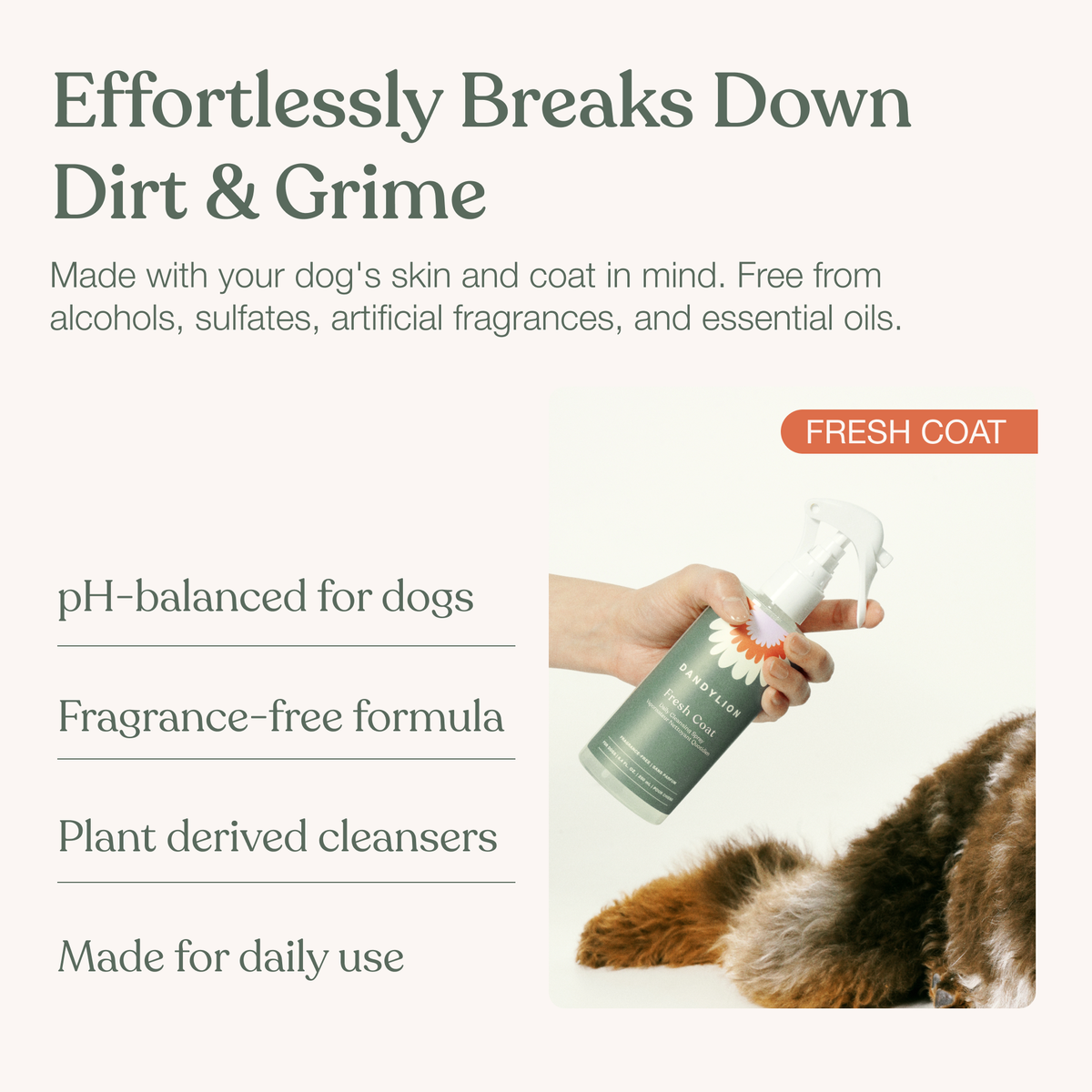 Fresh Coat Daily Cleansing Spray