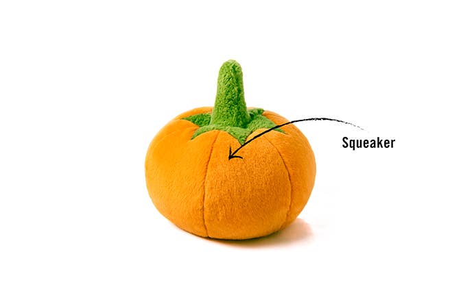 Garden Fresh - Pumpkin