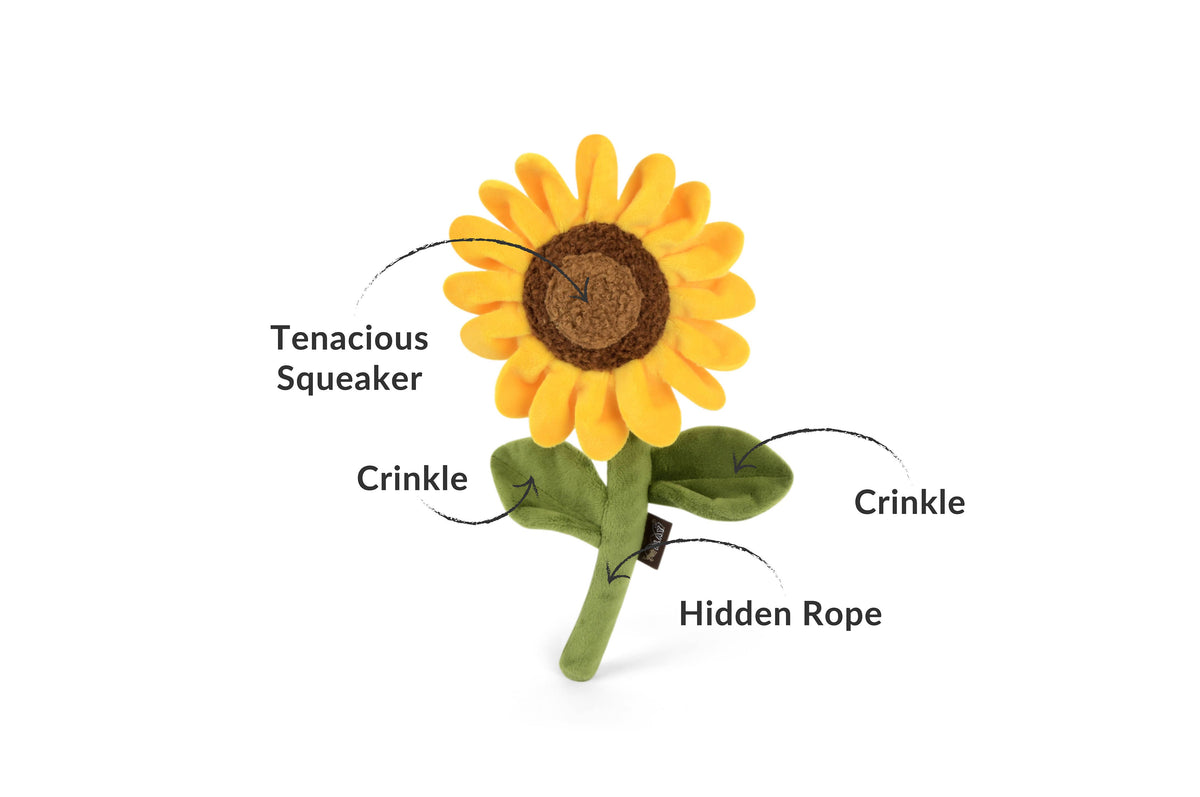 Blooming Buddies - Sassy Sunflower