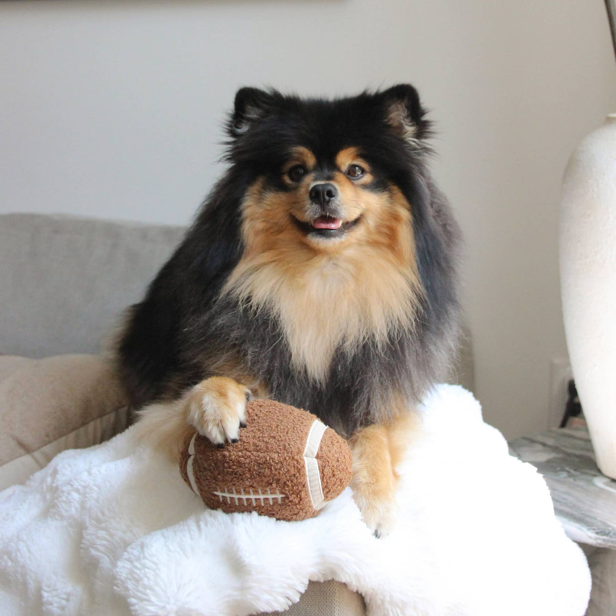 FOOTBALL // ENRICHMENT TOY SET// SNUFFLE + BURROW