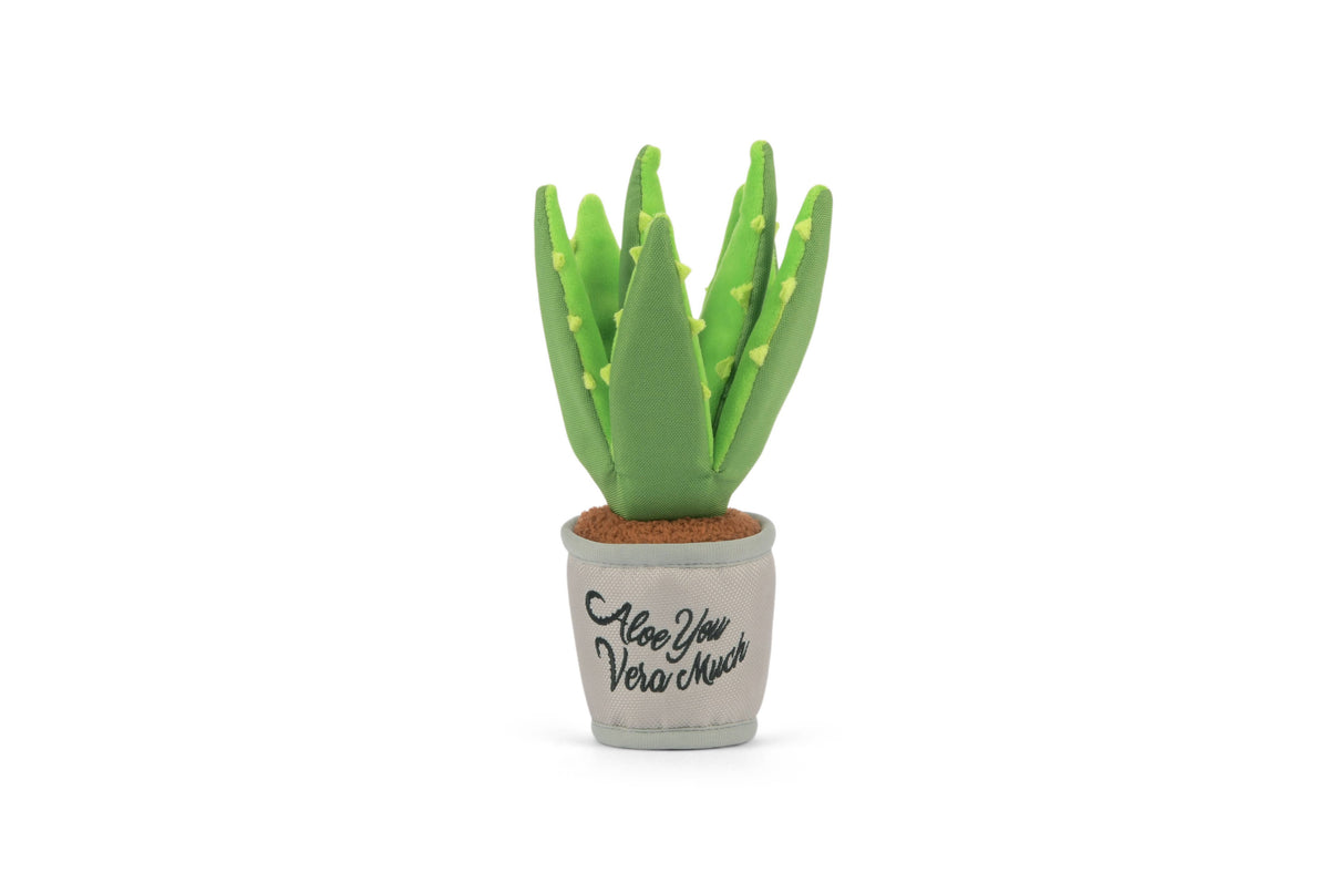 Blooming Buddies - Aloe-ve You Plant